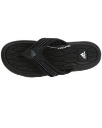 adidas raggmo thong