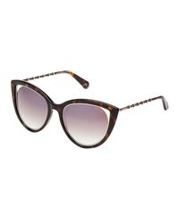 Balmain Brown Tortoiseshell-look Bl2517 Cat Eye Sunglasses