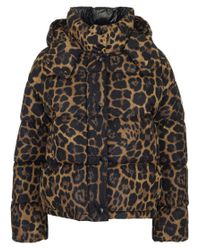 moncler leopard puffer