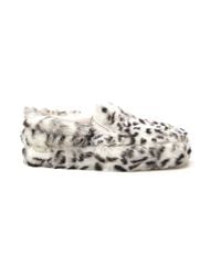 furry vans