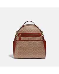 coach mini backpack price