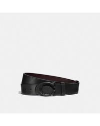 coach men belt