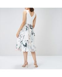 coast imogen sandra dress
