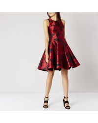 coast ester jacquard dress