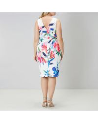 coast natalia printed shift dress