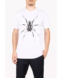 lanvin spider sweatshirt