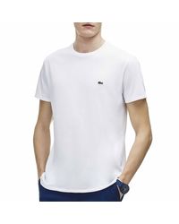 maglia cotone lacoste