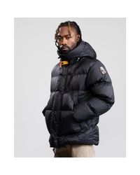 parajumper jacket