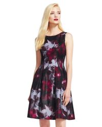 Adrianna Papell Multicolor Ap1d100448 Floral Metallic Jersey Dress