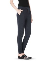 Alexander Wang Blue Lightweight French Terry Sweatpants