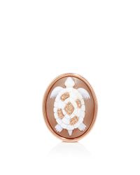 Amedeo | Pink Turtle Cameo Ring | Lyst
