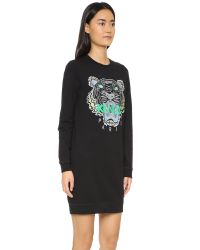 kenzo sweater dresses