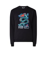 dragon heren groen