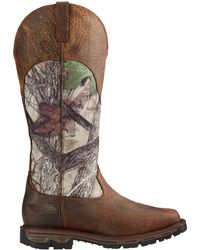 ariat snake boots