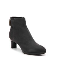 aquatalia dallas bootie