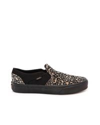 vans asher leopard slip-on sneaker