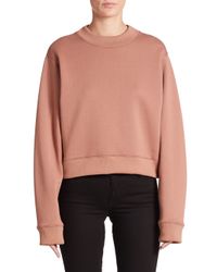 Acne | Pink Bird Cropped Sweatshirt | Lyst
