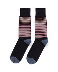 Paul Smith | Black Paul Smith 3-pack Socks for Men | Lyst