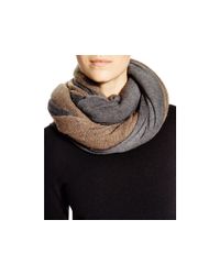 Donni Charm | Gray Together Touch Double Scarf | Lyst