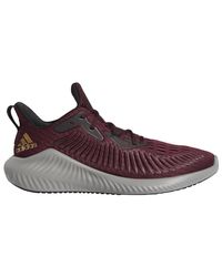 adidas alphabounce maroon