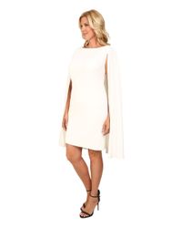 adrianna papell structured cape sheath dress