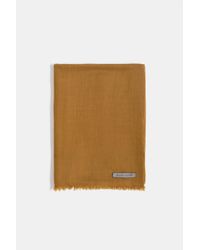 Denis Colomb Brown Toosh Lisse Shawl