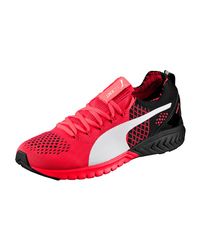 PUMA Red Ignite Dual Evoknit Asphalt Running Shoes for men
