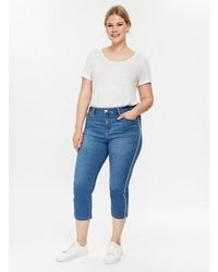 evans cropped jeans