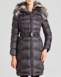 dawn levy bee down coat