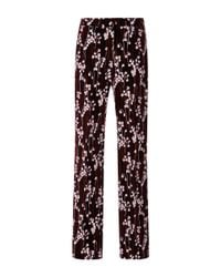 Giamba | Purple Lily Of The Valley Smooth Velvet Relaxed Pants | Lyst