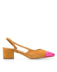 Paris Texas Brown Spitze Pumps