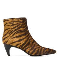 Twin Set - Brown Tiger Print Booties - Lyst