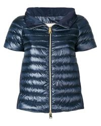 herno ladybug jacket