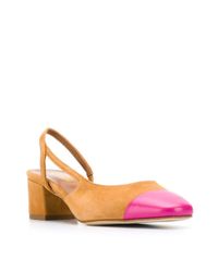 Paris Texas Brown Spitze Pumps