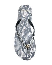 tory burch snake skin sandals
