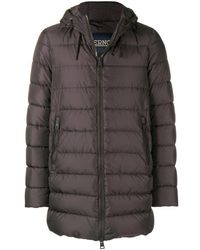 Herno Gesteppte Daunenjacke in Brown für Herren