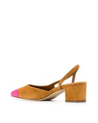 Paris Texas Brown Spitze Pumps