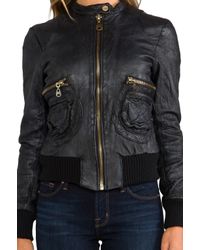 doma leather jacket bloomingdales