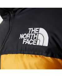 gold nuptse jacket