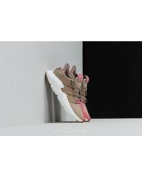 adidas prophere footshop