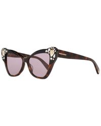 DSquared² Brown Sunglasses