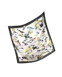 Roberto Cavalli - Multicolor Birds Garden Print Silk Square Scarf - Lyst