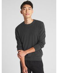 gap mainstay crewneck sweater