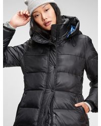 gap coat sale