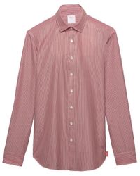 Thomas pink athletic fit Clearance