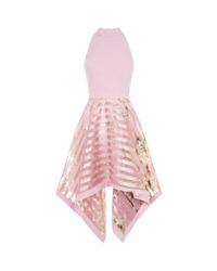 angelik ted baker dress