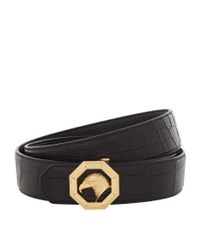 Stefano ricci most expensive belt Outlet