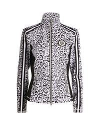 leopard thermal