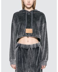 Alexander Wang Gray Velour Terry Cropped Hoodie