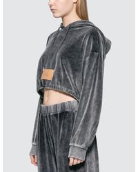 Alexander Wang Gray Velour Terry Cropped Hoodie